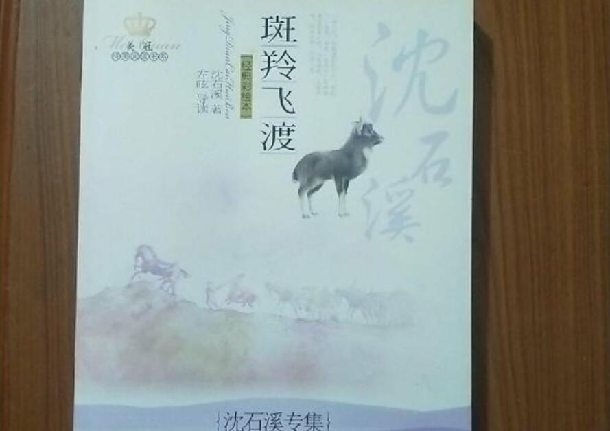 《斑羚飞渡》书籍.jpg
