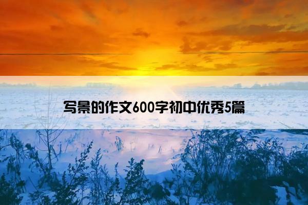 写景的作文600字初中优秀5篇
